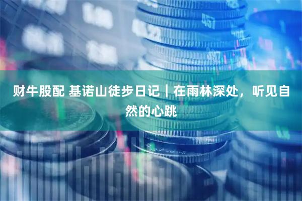 财牛股配 基诺山徒步日记｜在雨林深处，听见自然的心跳